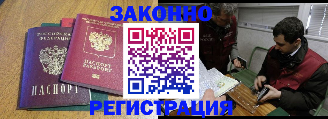 прописка 2025 в Звенигово